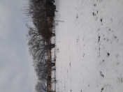 Satılır 5 sot torpaq Quba