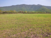 Satılır 4000 sot torpaq Zaqatala