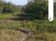 Satılır 128 sot torpaq Quba