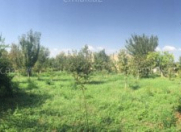 Satılır 6 sot torpaq Ağdaş