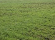 Satılır 6 sot torpaq Şəki