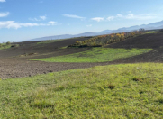 Satılır 100 sot torpaq Quba