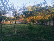 Satılır 7500 sot torpaq İsmayıllı