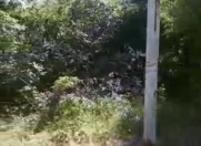 Satılır 30 sot torpaq İsmayıllı