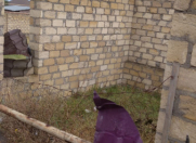 Satılır 9 sot torpaq Göygöl