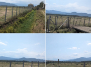 Satılır 236 sot torpaq Lənkəran