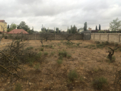 Satılır 100 sot torpaq Məhəmmədli