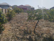 Satılır 6 sot torpaq Saray