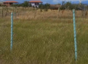 Satılır 12 sot torpaq Şamaxı