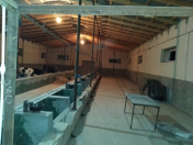 İcarəyə verilir 0 otaqlı 500 m2 obyekt Türkan