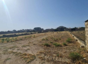 Satılır 22 sot torpaq Neftçala