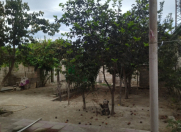 Satılır 3 otaqlı 60 m2 bağ evi Buzovna