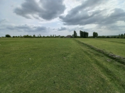 Satılır 75 sot torpaq Qəbələ