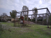 Satılır 67 sot torpaq Oğuz