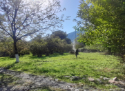 Satılır 10 sot torpaq Oğuz