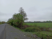 Satılır 270 sot torpaq Qəbələ