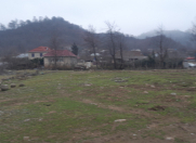 Satılır 100 sot torpaq Lənkəran