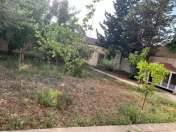 Satılır 15 sot torpaq Ləhic Bağları