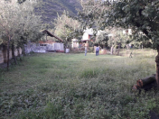 Satılır 4 sot torpaq Qax