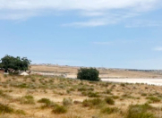 Satılır 200 sot torpaq Albalı