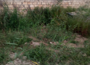 Satılır 10 sot torpaq Sumqayıt