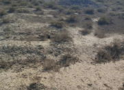 Satılır 6 sot torpaq Şirvan