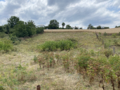 Satılır 12 sot torpaq Quba