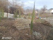 Satılır 12 sot torpaq Qəbələ