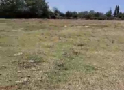 Satılır 71 sot torpaq Qəbələ