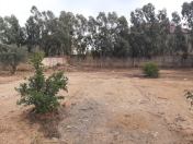 Satılır 12 sot torpaq Mərdəkan