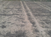 Satılır 20 sot torpaq Bilgəh