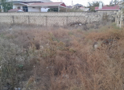 Satılır 5.6 sot torpaq Biləcəri