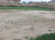 Satılır 2 sot torpaq Binə