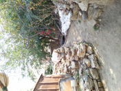 Satılır 50 sot torpaq Qış parkı