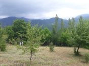 Satılır 4 sot torpaq İsmayıllı