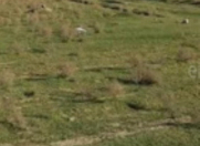 Satılır 6 sot torpaq Saray