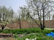 Satılır 8 sot torpaq Quba