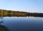 Satılır 400 sot torpaq Astara