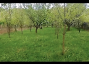 Satılır 10 sot torpaq Göygöl