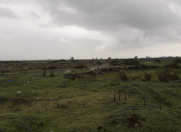 Satılır 400 sot torpaq Lənkəran