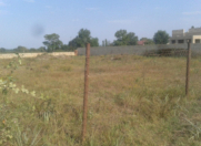 Satılır 10 sot torpaq Xaçmaz