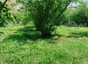 Satılır 45 sot torpaq Qəbələ