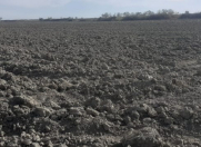 Satılır 70000 sot torpaq Xaçmaz