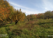 Satılır 135 sot torpaq Qusar