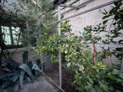 Satılır 4 otaqlı 165 m2 həyət evi Biləcəri