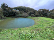 Satılır 30 sot torpaq Masallı