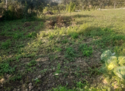 Satılır 20 sot torpaq Qusar