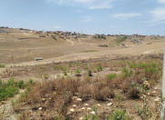 Satılır 8 sot torpaq Xırdalan