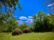 Satılır 25 sot torpaq Quba