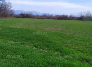 Satılır 21 sot torpaq Astara